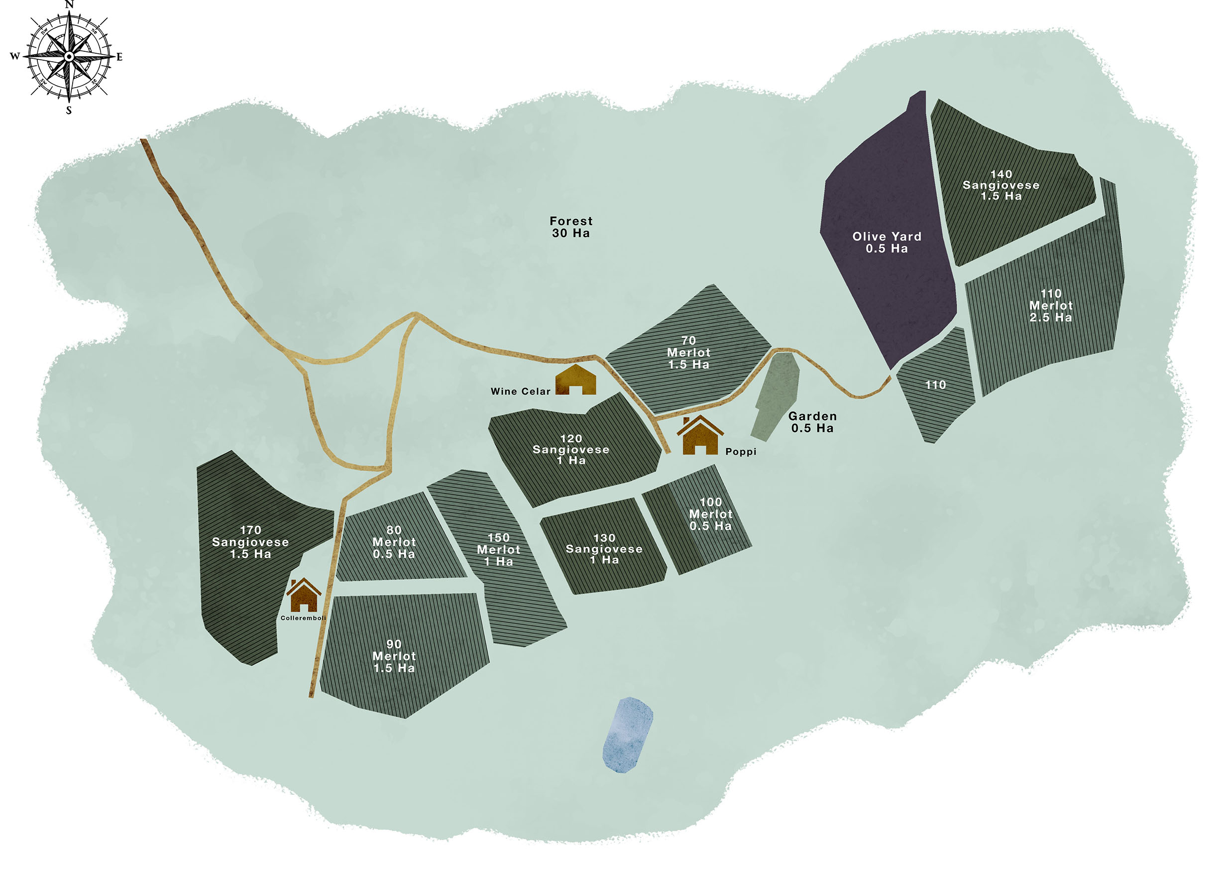 Mappa dettagliata della Brancaia a Radda