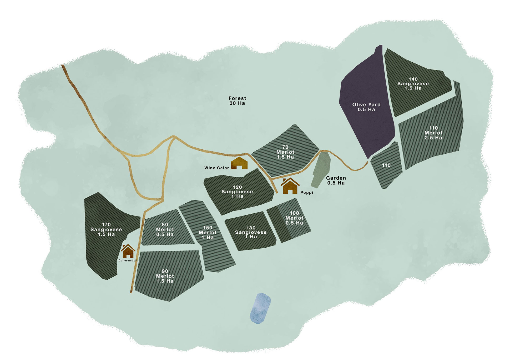 Mappa dettagliata della Brancaia a Radda